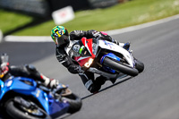 brands-hatch-photographs;brands-no-limits-trackday;cadwell-trackday-photographs;enduro-digital-images;event-digital-images;eventdigitalimages;no-limits-trackdays;peter-wileman-photography;racing-digital-images;trackday-digital-images;trackday-photos